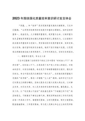 2023年围绕强化质量效率意识研讨发言体会心得体会.docx
