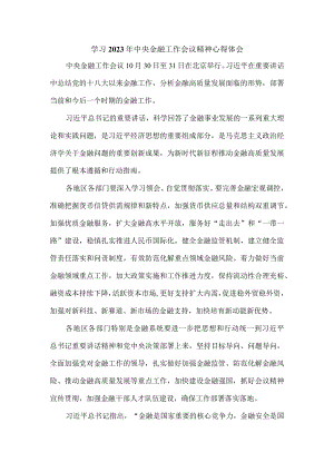 学习2023年中央金融工作会议精神心得体会二.docx