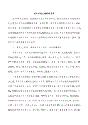 消防系统党建经验总结.docx
