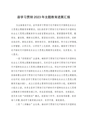 县2023年主题教育阶段进展情况汇报.docx