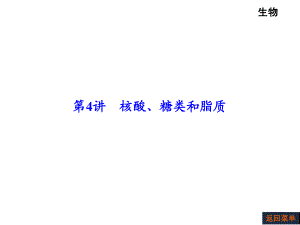 第4讲核酸、糖类和脂质.ppt