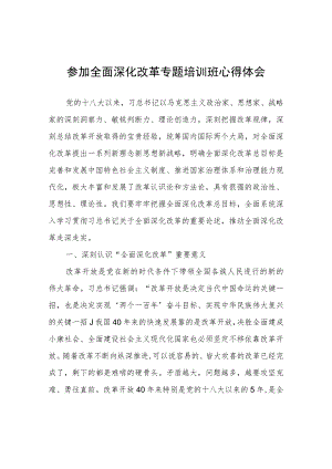 参加全面深化改革专题培训班心得体会心得体会.docx
