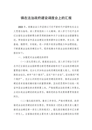 镇在法治政府建设调度会上的汇报.docx