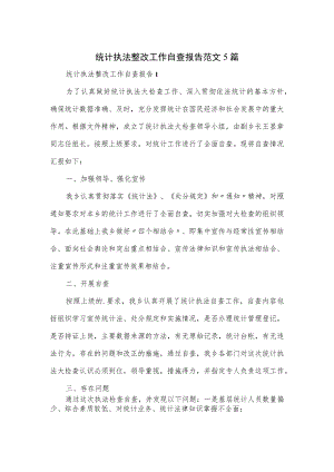 统计执法整改工作自查报告范文5篇.docx