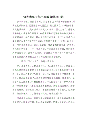 镇办青年干部主题教育学习心得.docx