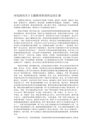 市民政局关于主题教育阶段性总结汇报.docx