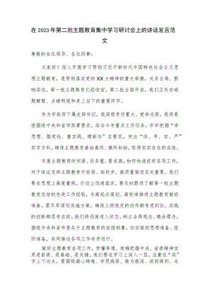 在2023年第二批主题教育集中学习研讨会上的讲话发言范文.docx
