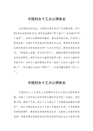 妇联学习中国妇女第十三次全国代表大会精神的心得体会（十一篇）.docx