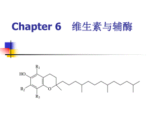 第6章 维生素与辅酶.ppt