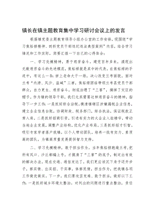 镇长在镇主题教育集中学习研讨会议上的发言.docx
