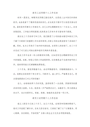 教师试用期个人工作总结.docx