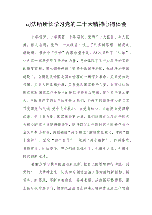 司法所所长学习党的二十大精神心得体会.docx