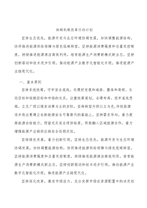 体制机制改革行动计划.docx