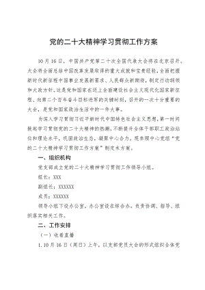 党的二十大精神学习贯彻工作方案.docx