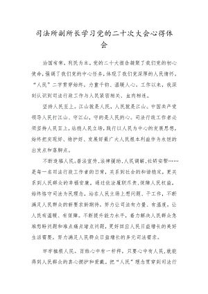 司法所副所长学习党的二十次大会心得体会.docx