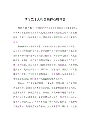 学习二十大报告精神心得体会.docx