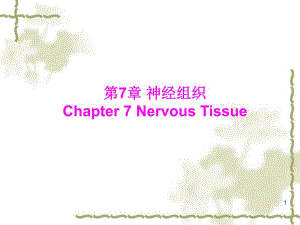 第7章神经组织第8章神经系统.ppt