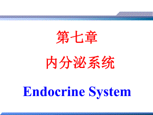 第7章内分泌系统.ppt