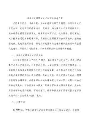 多样化发展集中式光伏发电实施方案.docx