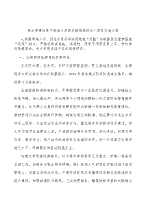 高水平建设黄河流域生态保护新能源综合示范区实施方案.docx