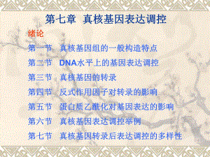 第7章真核基因表达调控中.ppt