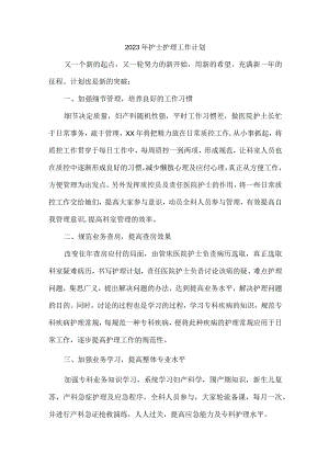 2023年民营医院护士护理工作计划.docx