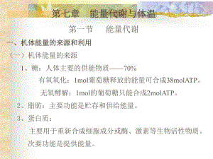 第7章能量代谢与体温.ppt