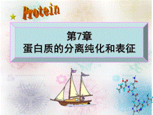 第7章蛋白质的分离纯化和表征ppt课件名师编辑PPT课件.ppt