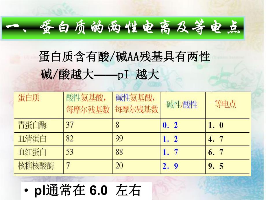 第7章蛋白质的分离纯化和表征ppt课件名师编辑PPT课件.ppt_第2页