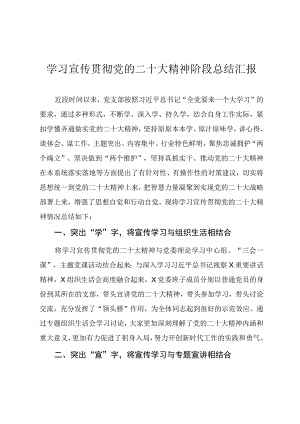 学习宣传贯彻党的二十大精神情况阶段总结报告.docx
