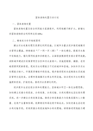 固体废物处置行动计划.docx