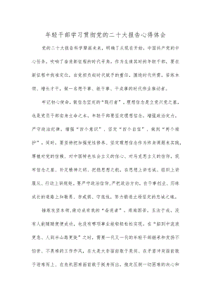 年轻干部学习贯彻党的二十大报告心得体会.docx