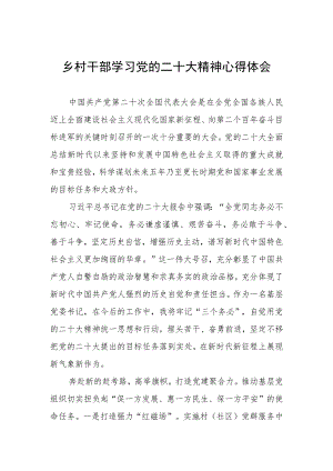 乡村干部学习党的二十大精神心得体会.docx