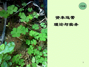 第8章实行股份制.ppt