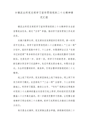 乡镇派出所党支部学习宣传贯彻党的二十大精神情况汇报.docx