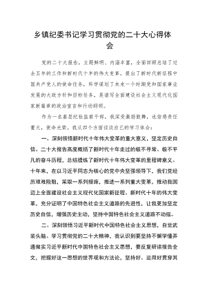 乡镇纪委书记学习贯彻党的二十大心得体会.docx