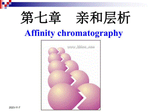 第7章亲和层析.ppt
