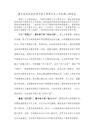 健全培养选拔优秀年轻干部常态化工作机制心得体会.docx
