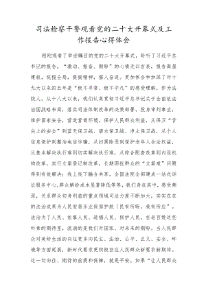 司法检察干警观看党的二十大开幕式及工作报告心得体会.docx