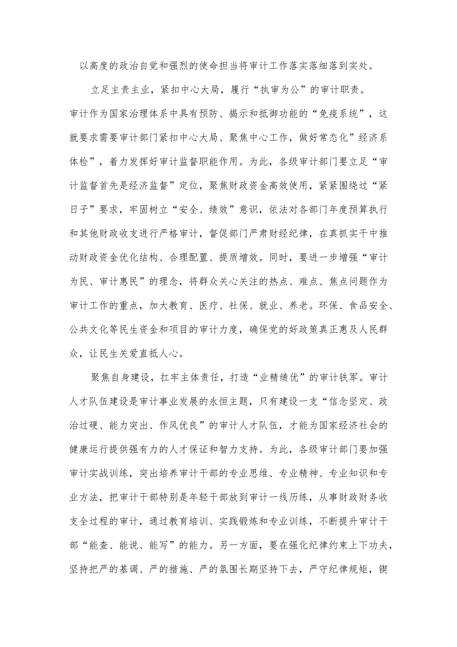《在二十届中央审计委员会第一次会议上的讲话》读后感.docx_第2页