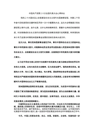 学习党的二十大心得体会.docx