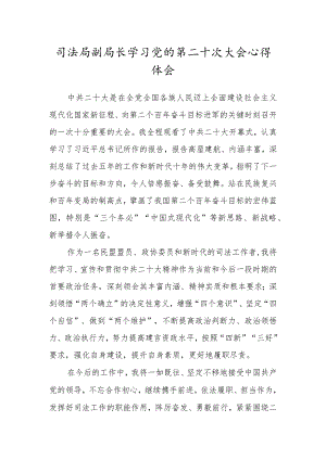 司法局副局长学习党的第二十次大会心得体会.docx