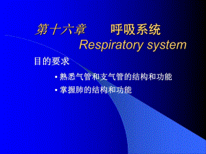 第6章呼吸系统ppt课件名师编辑PPT课件.ppt