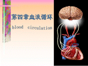 第6章循环系统的结构与功能5.ppt