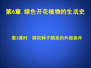 第3课时种子萌发的外部条件.ppt