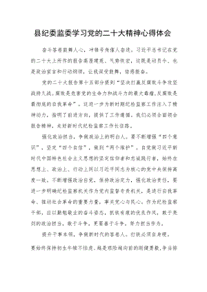 县纪委监委学习党的二十大精神心得体会.docx