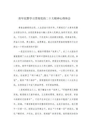 青年民警学习贯彻党的二十大精神心得体会.docx