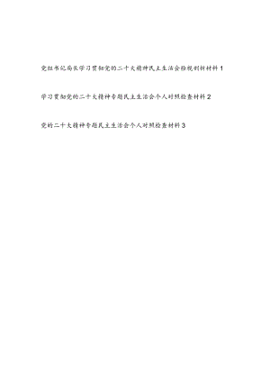 书记党员干部学习党的二十大精神专题民主生活会个人检视剖析对照检查材料3篇.docx