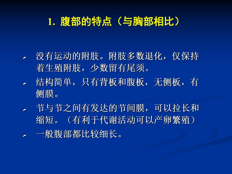 第8章昆虫的腹部名师编辑PPT课件.ppt_第3页
