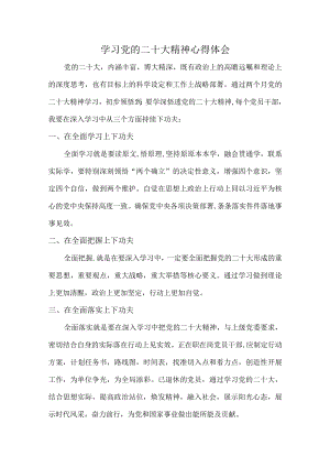 城区应急管理局基层党员干部深入组织学习党的二十大精神个人心得体会.docx